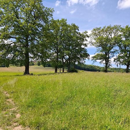 Chambres D'Hotes Sous Les Chenes Gondenans-Montby Εξωτερικό φωτογραφία